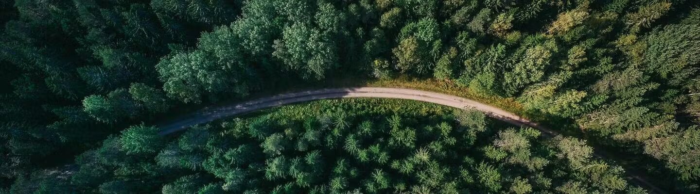 Ermenegildo Zegna alpaca vicuna